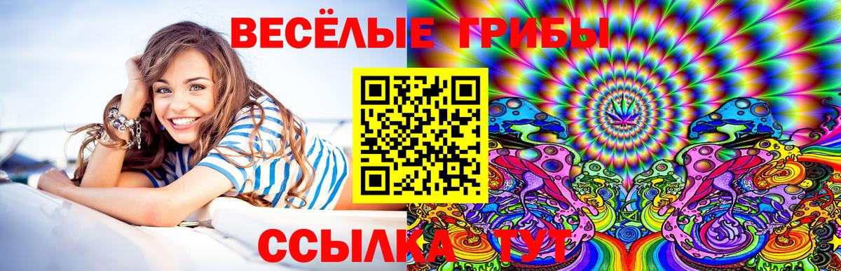 Бугуруслан  Псилоцибиновые грибы Cubensis  Галлюциногенные грибы GOLDEN TEACHER  Вход с VPN 