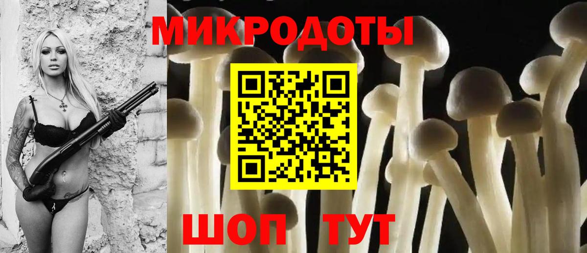 Псилоцибиновые грибы GOLDEN TEACHER Бугуруслан